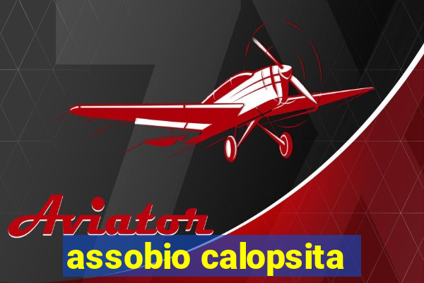 assobio calopsita